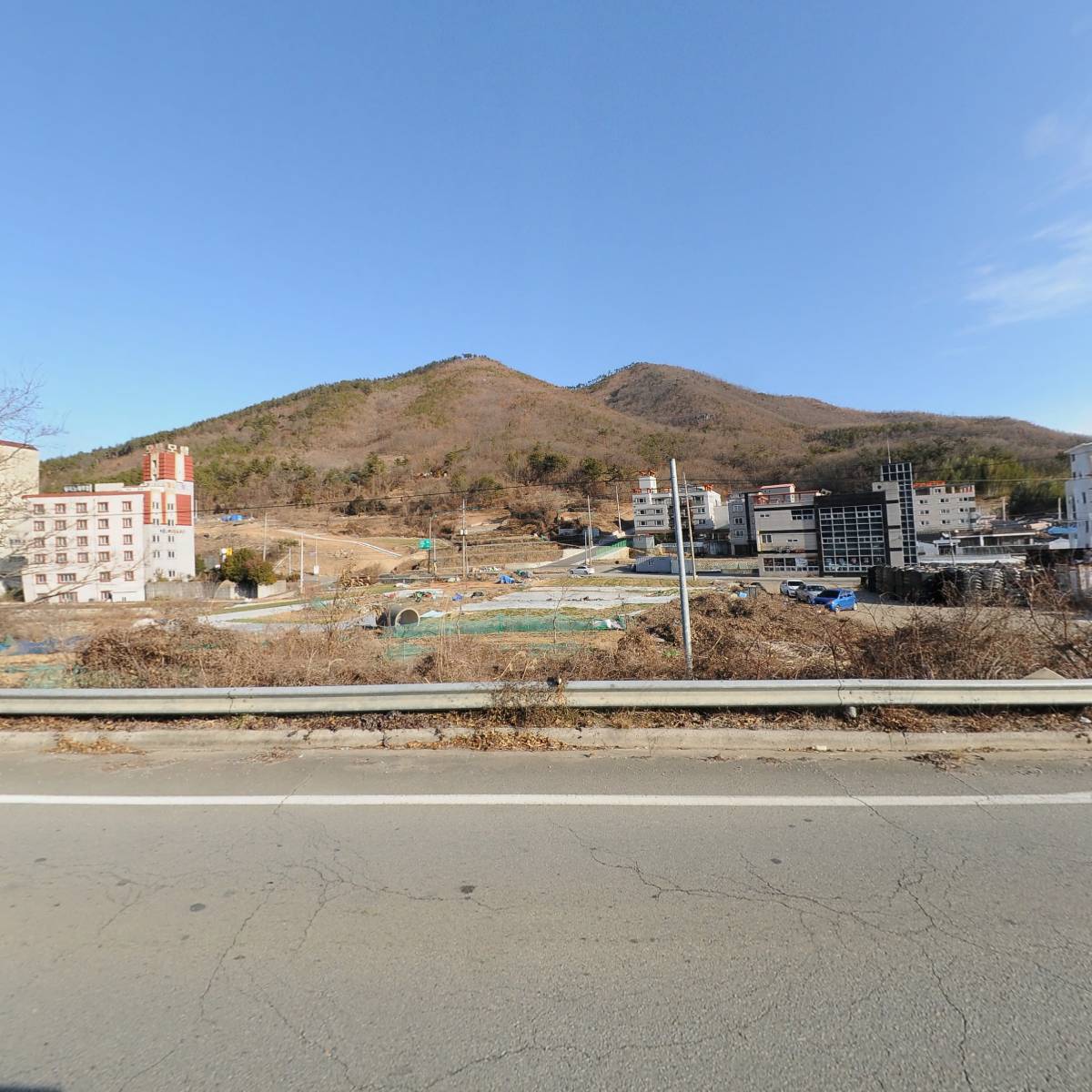 통영섬멸치