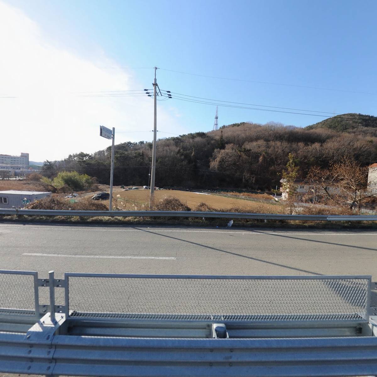 통영섬멸치_3