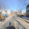 피자와 치킨의 러브레터 안정점_2