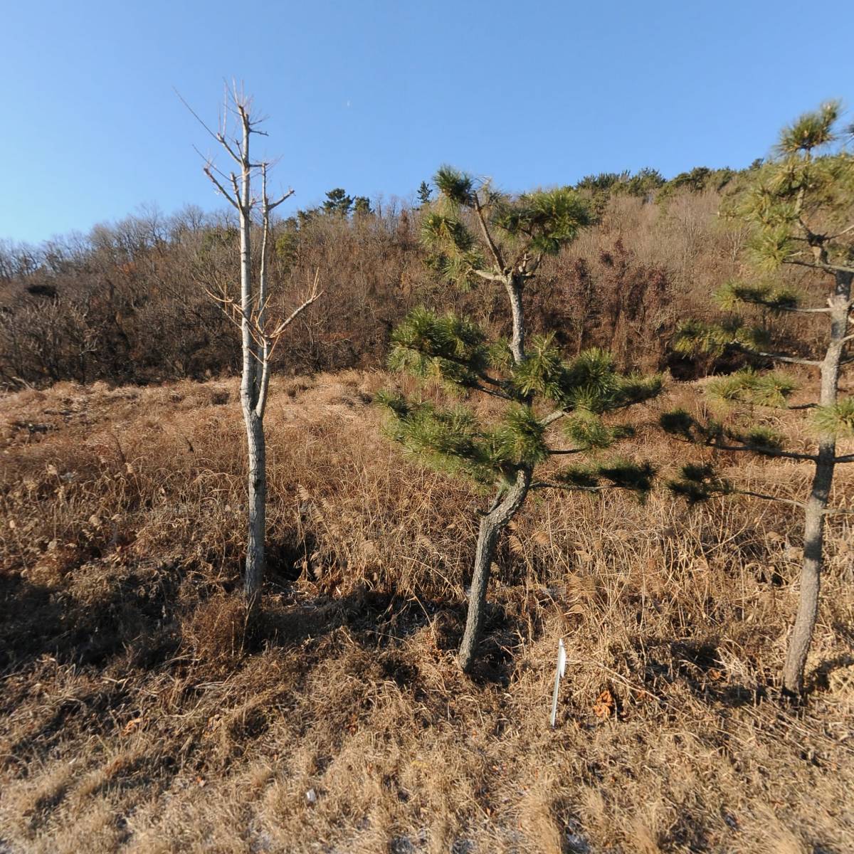 MKLS농기계