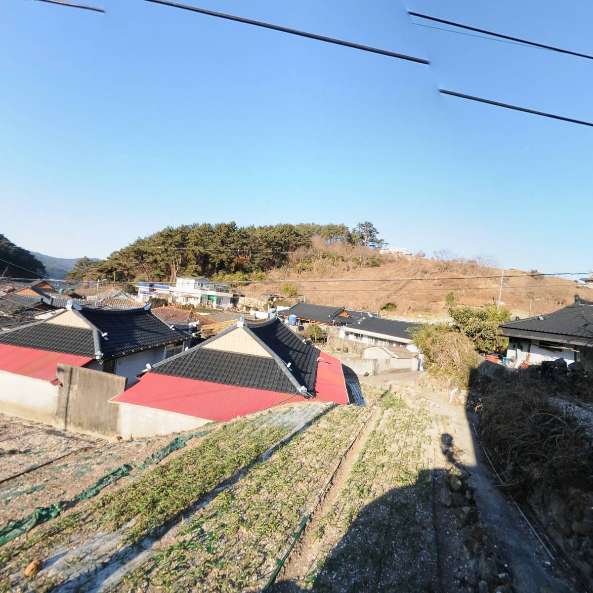 노전치성계_3