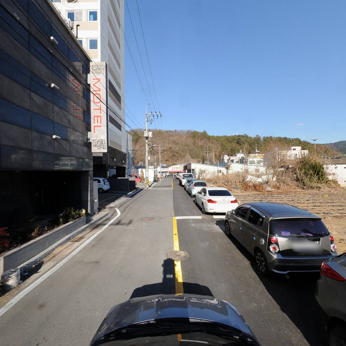 장미꽃사이로_4