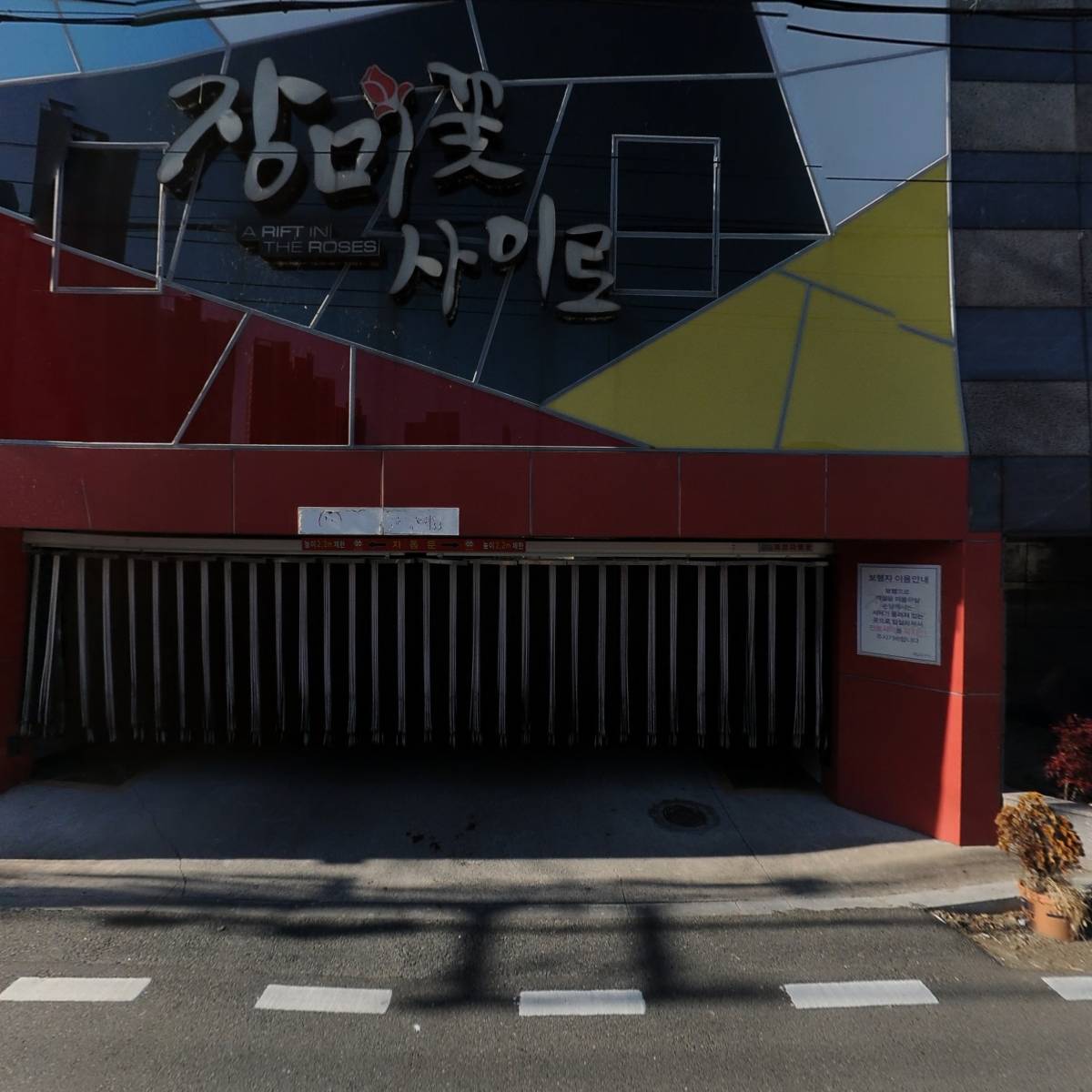 장미꽃사이로_3