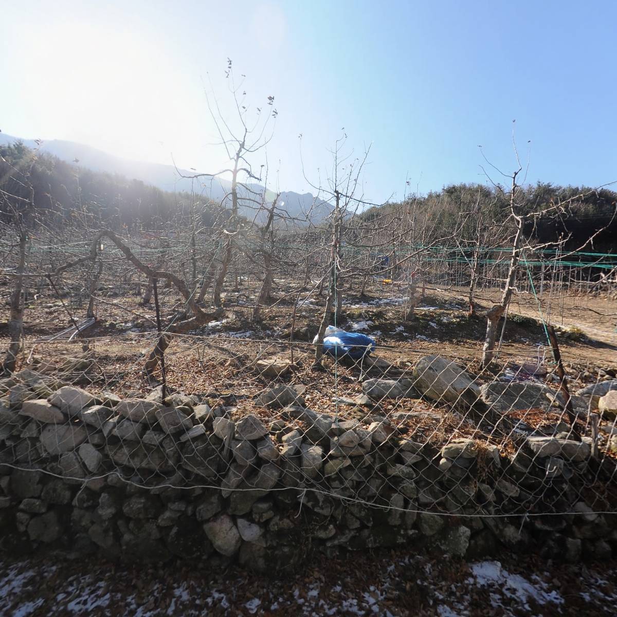 옥샘캠핑장