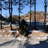 청용2주유소
