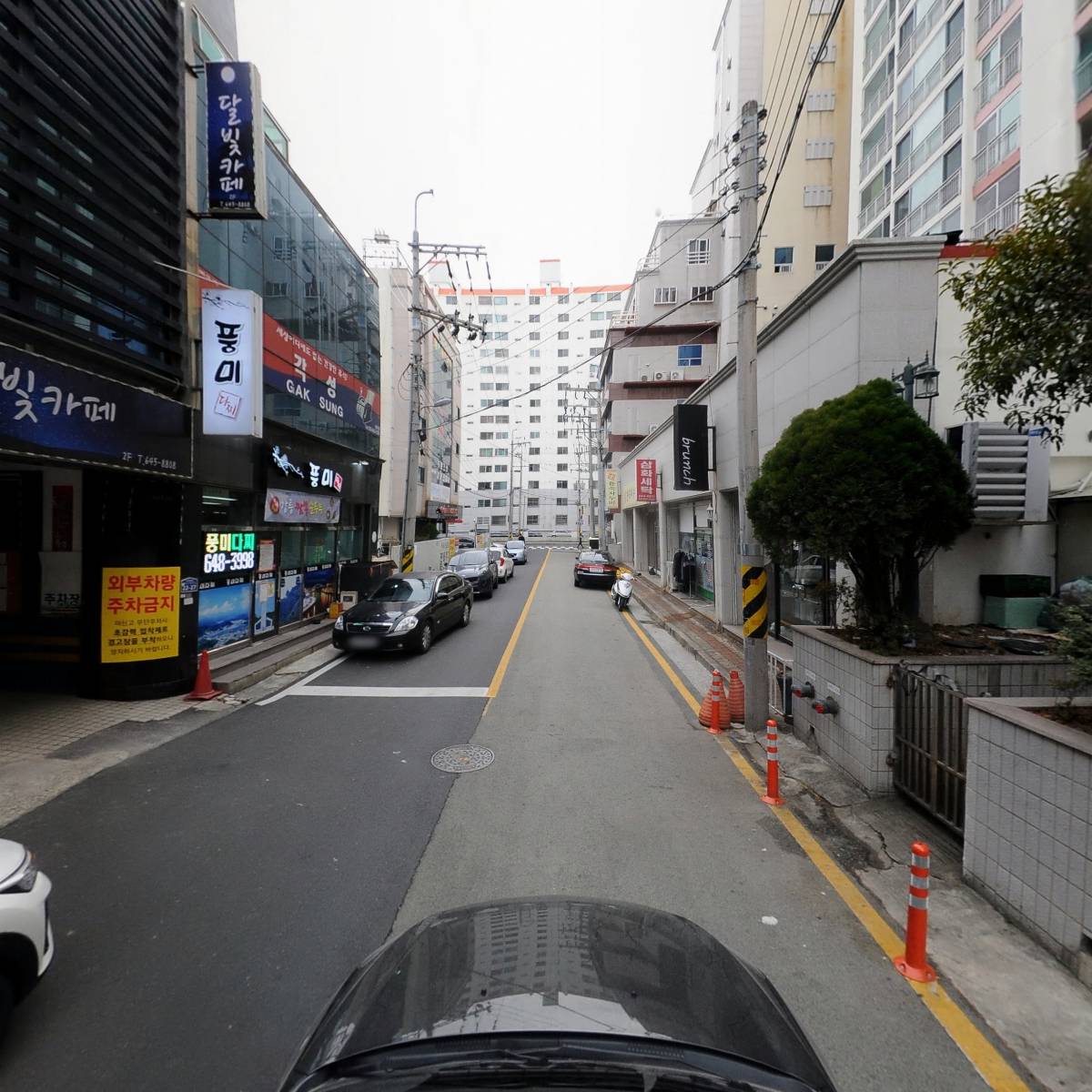 세렌디프롬_4