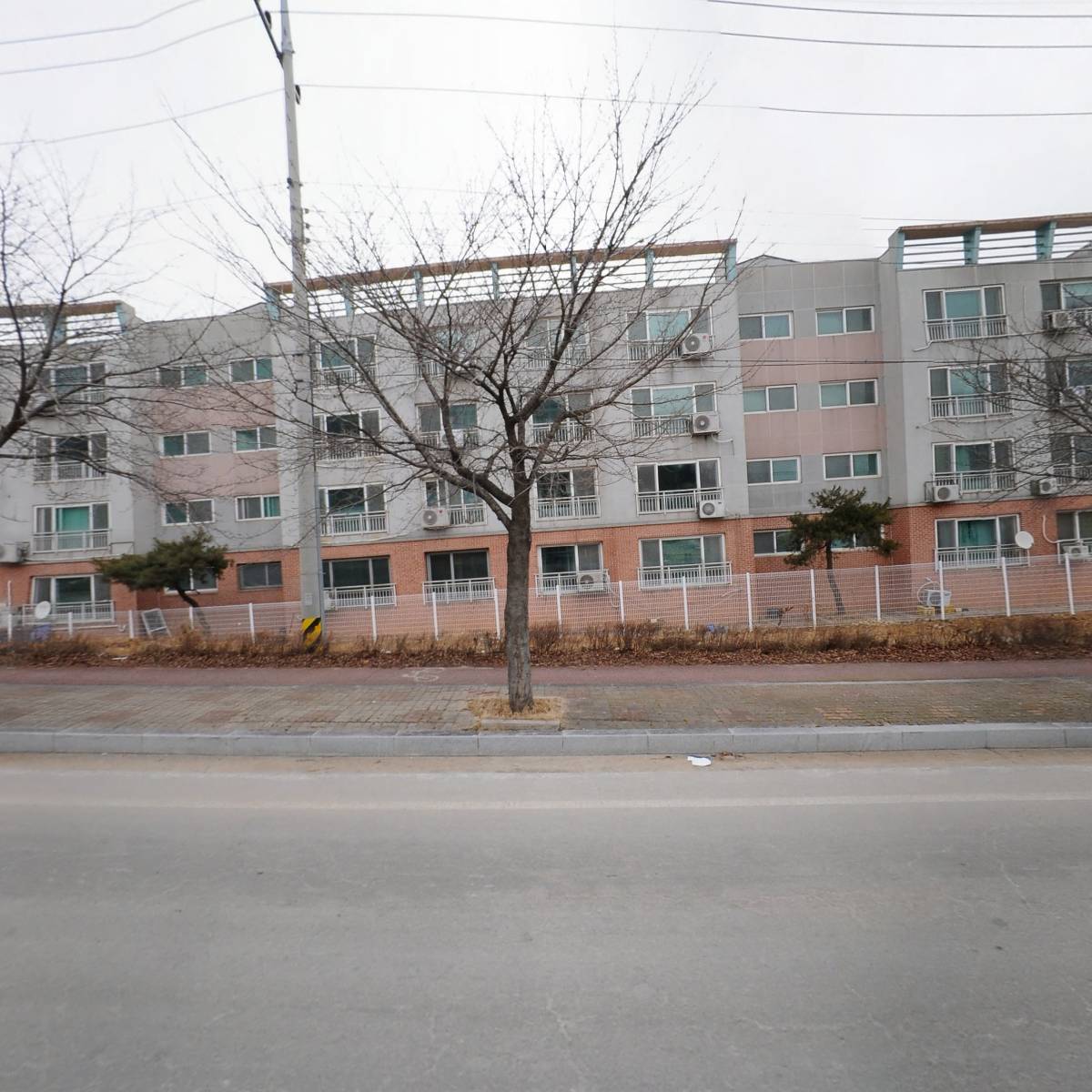 송하초등학교 제26회