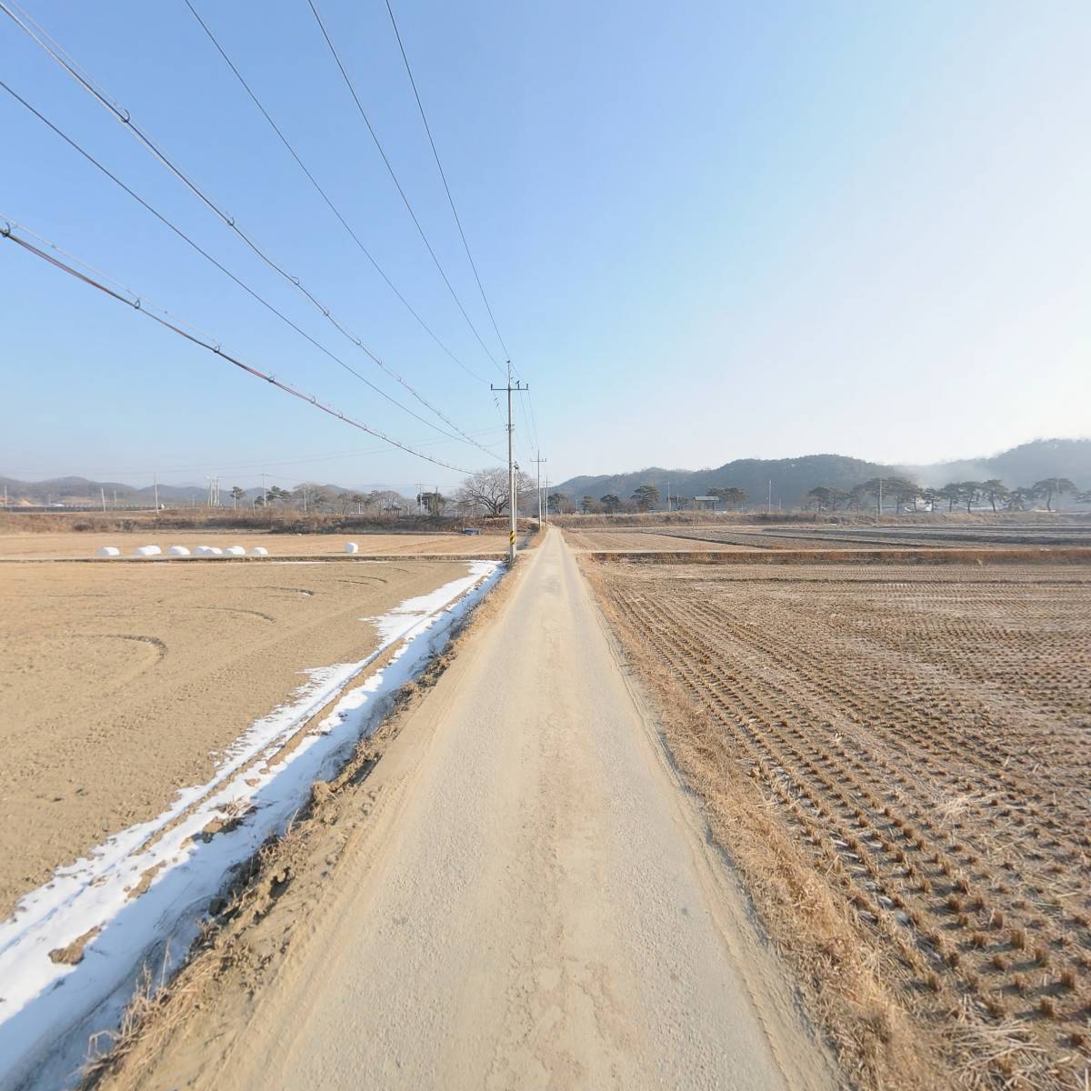 폴인베리_2