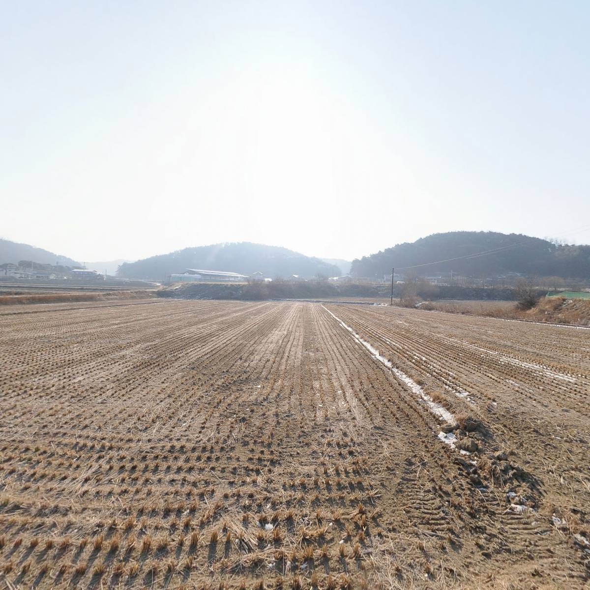 폴인베리_3