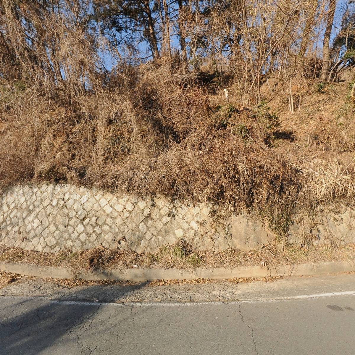 근영상회_3