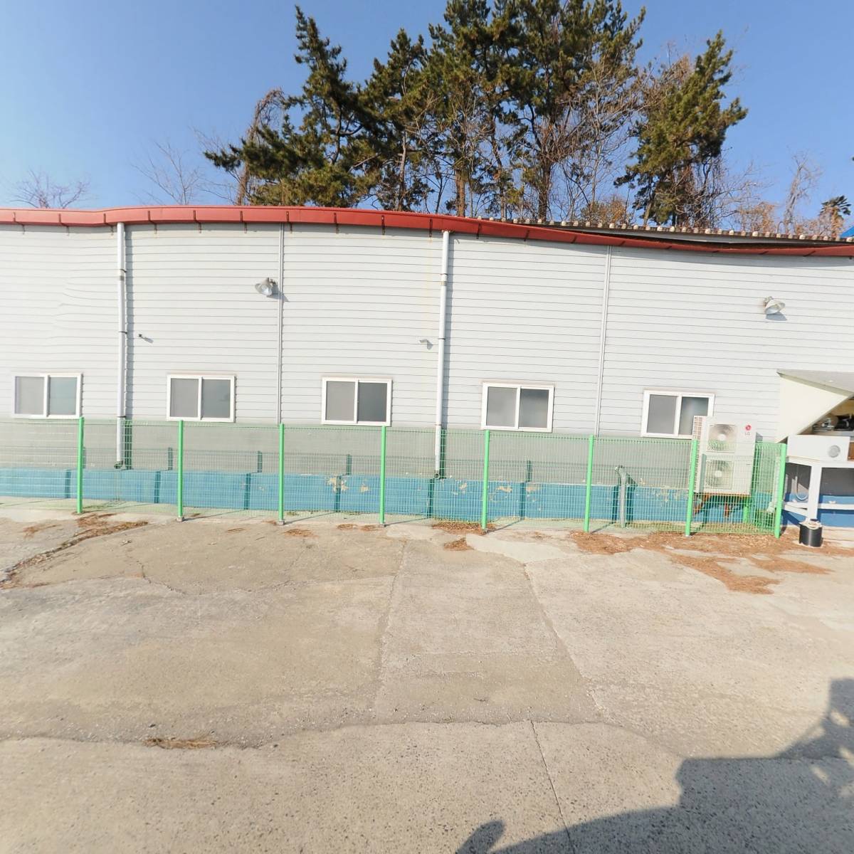 싱굴벙굴