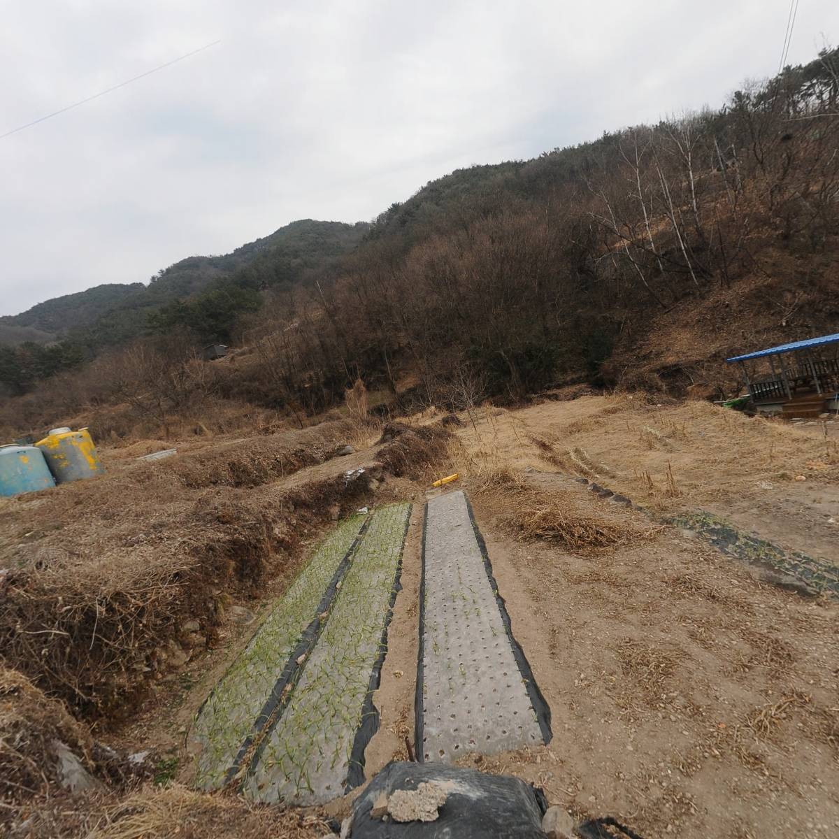 주식회사 우보뜸