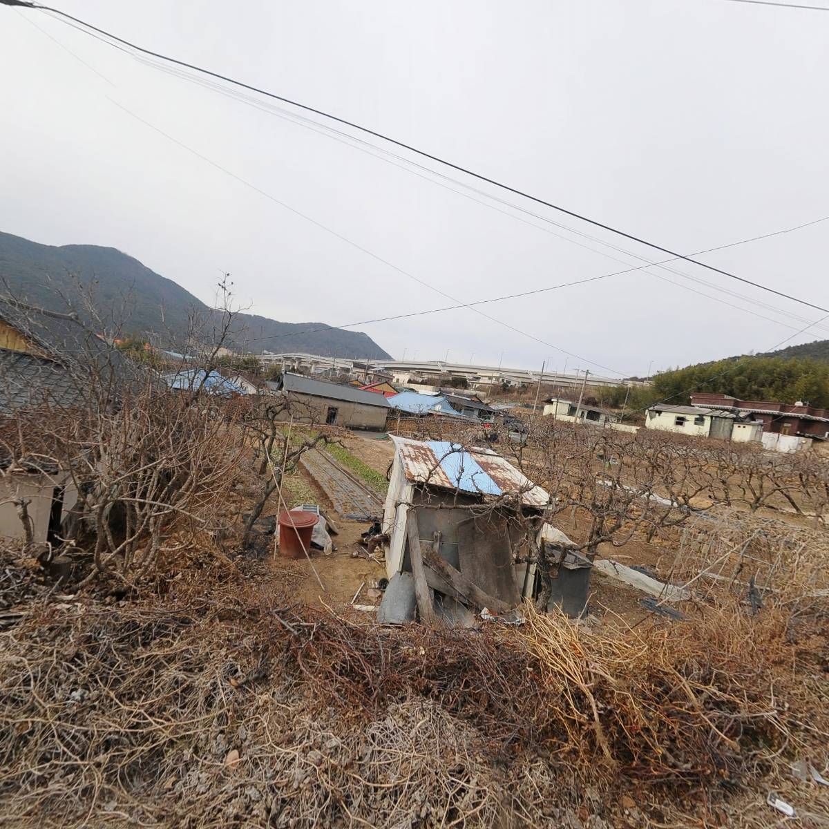 (주)대일유통_3