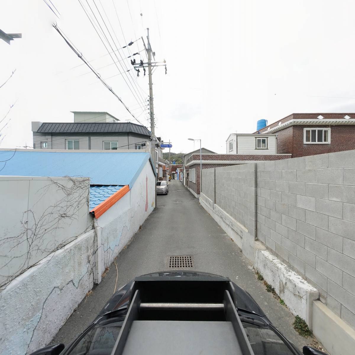 세길멸치직판장_4