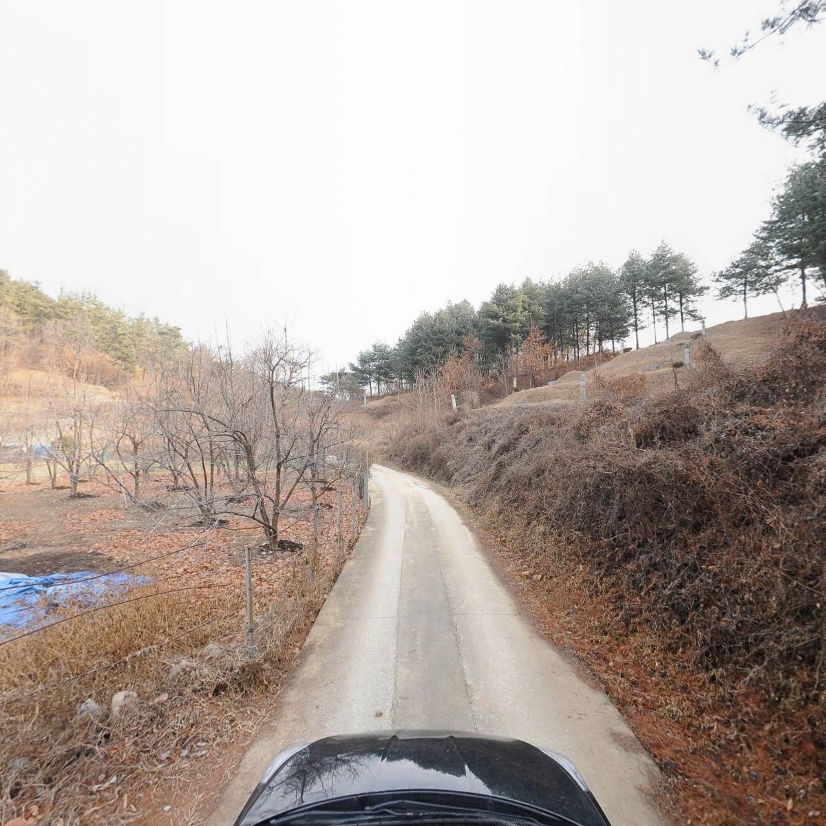 농업회사법인 주식회사 약천산식품_4