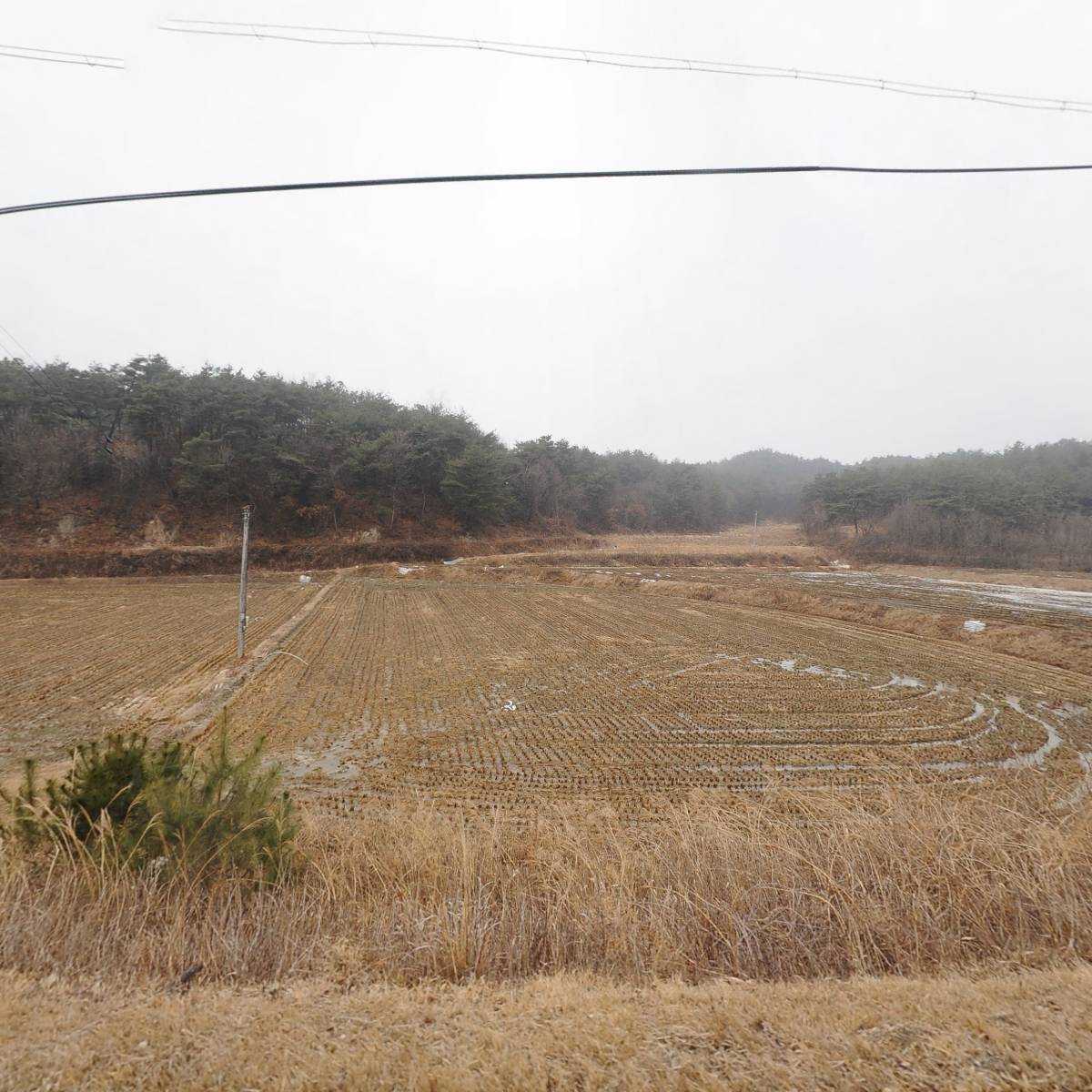 말산업연구소망아지닷컴 농업회사법인 주식회사