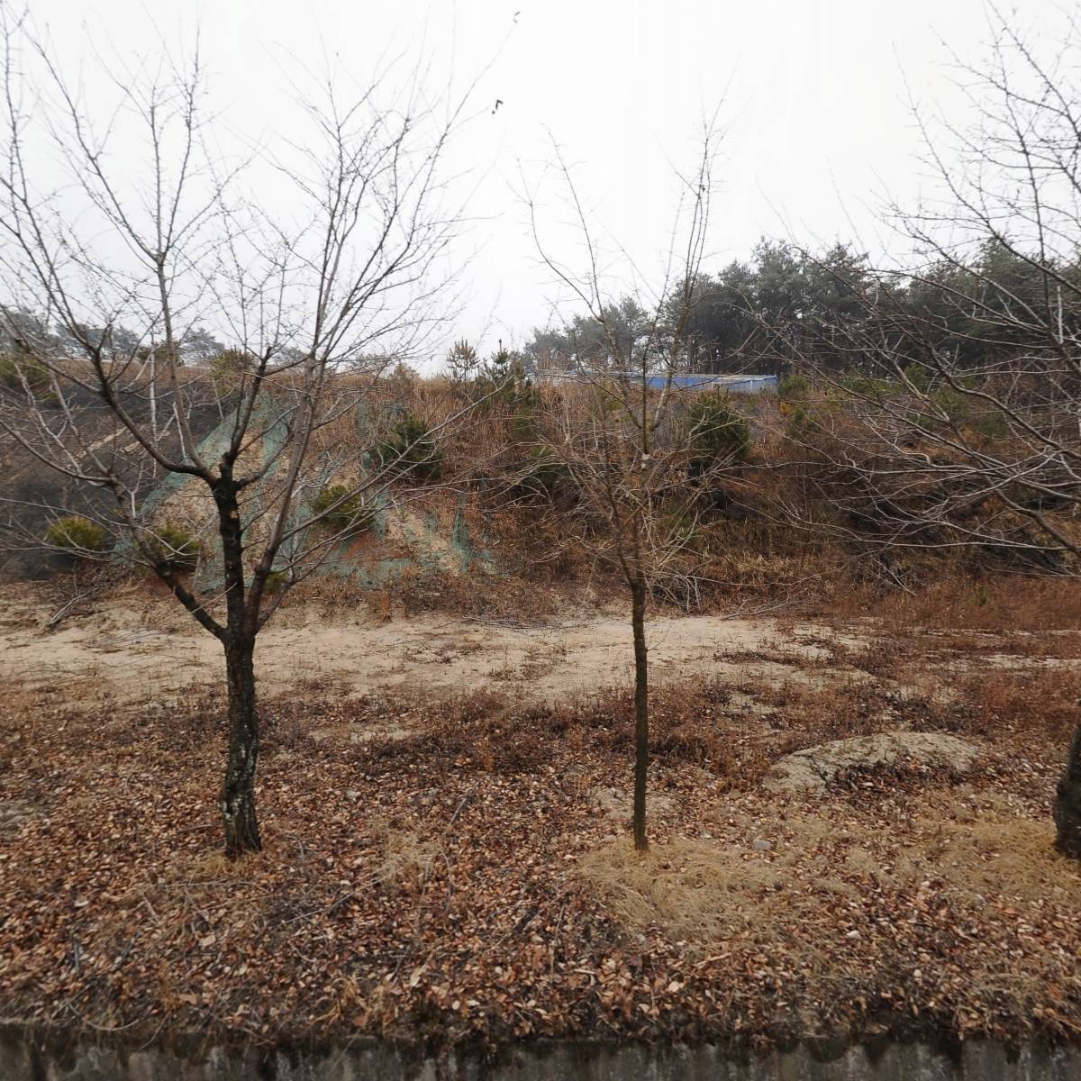 말산업연구소망아지닷컴 농업회사법인 주식회사_3