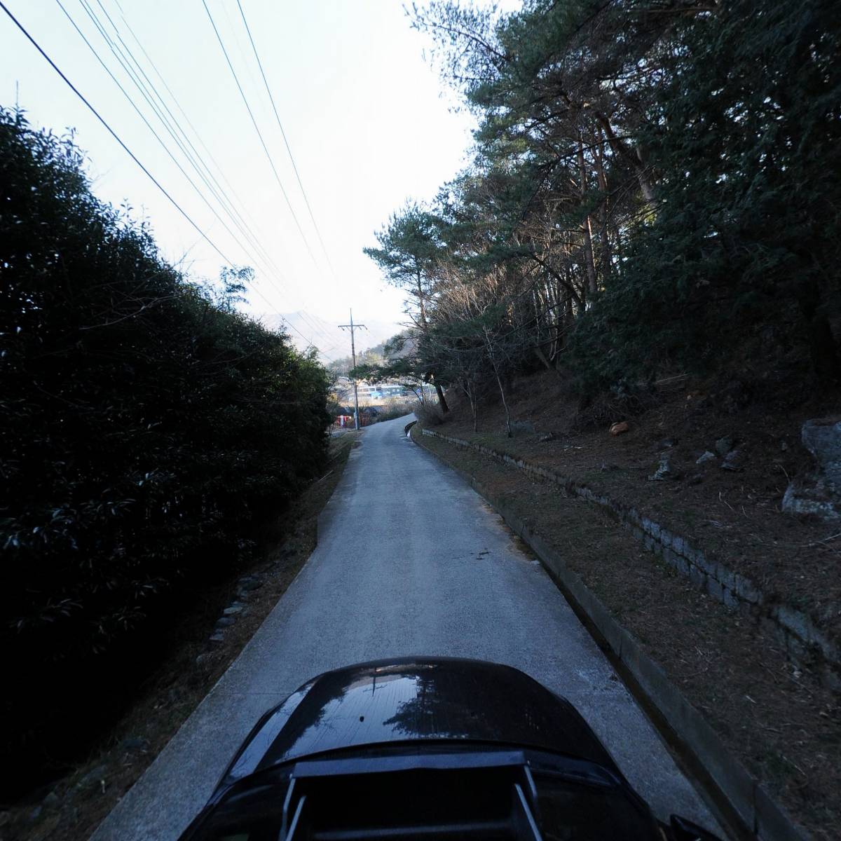 거제사슴영농조합법인_4
