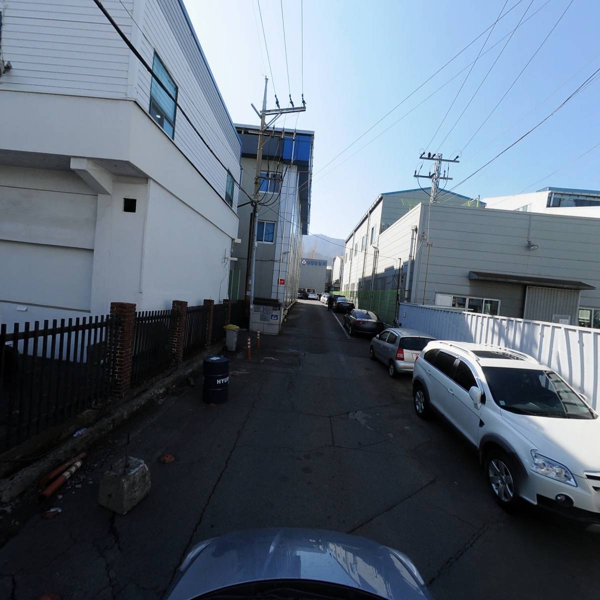 대일강구_4