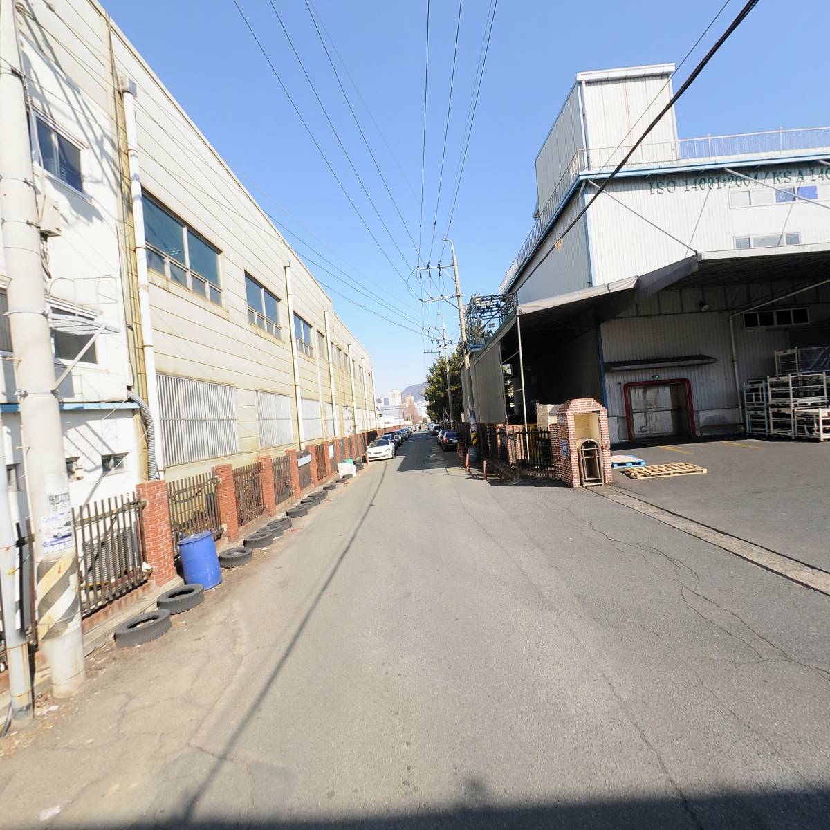 대일강구_2
