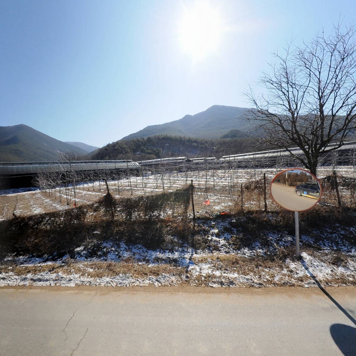 정원농원_3
