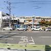 정관장능포점_3