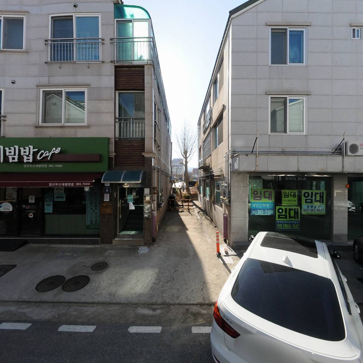 최고당돈까스,파리에다녀온치킨