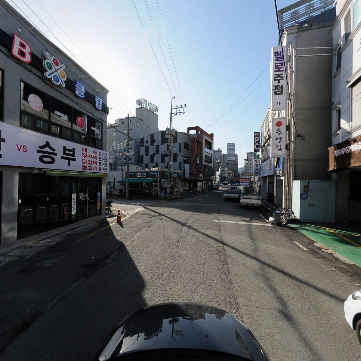 네티(Natty)_4