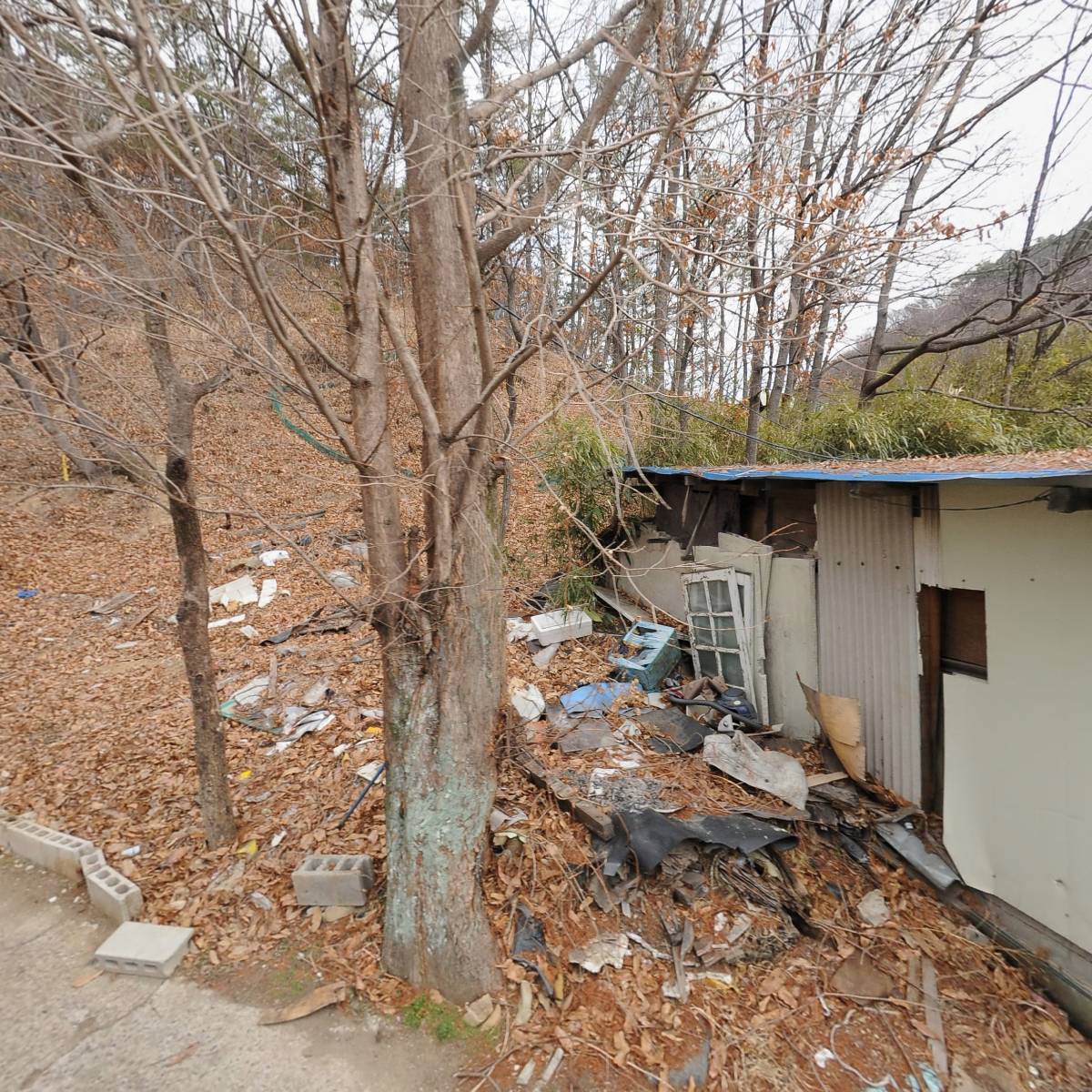 국제자동기계