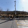 홀인원파크골프클럽_3