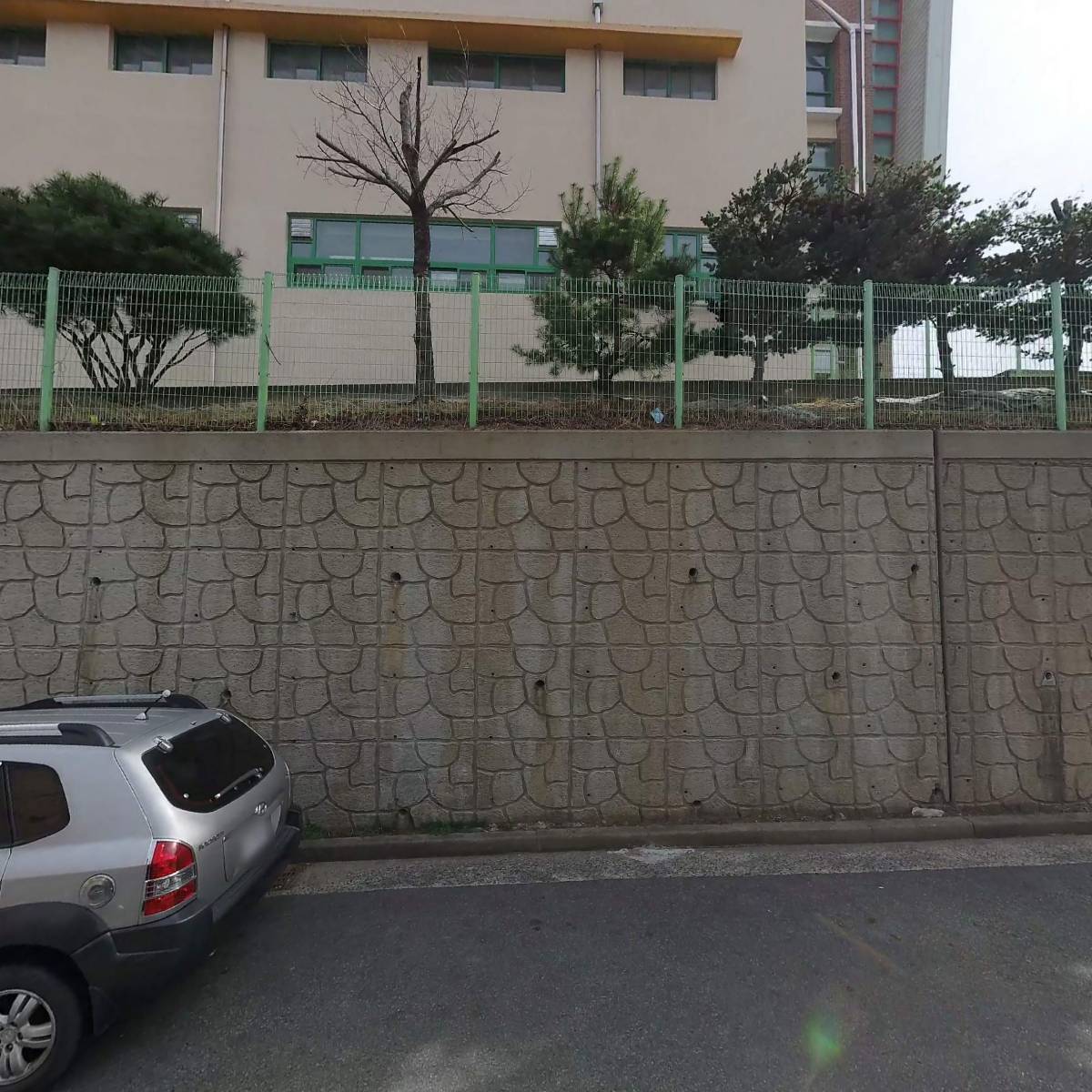 대운스포츠