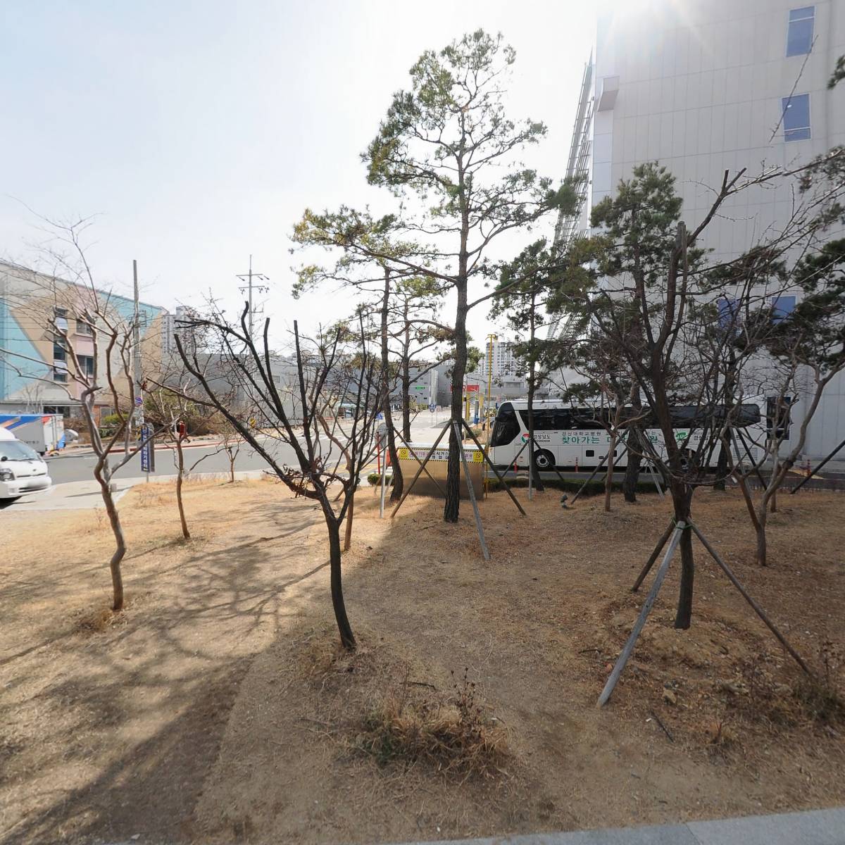 국화 상례복