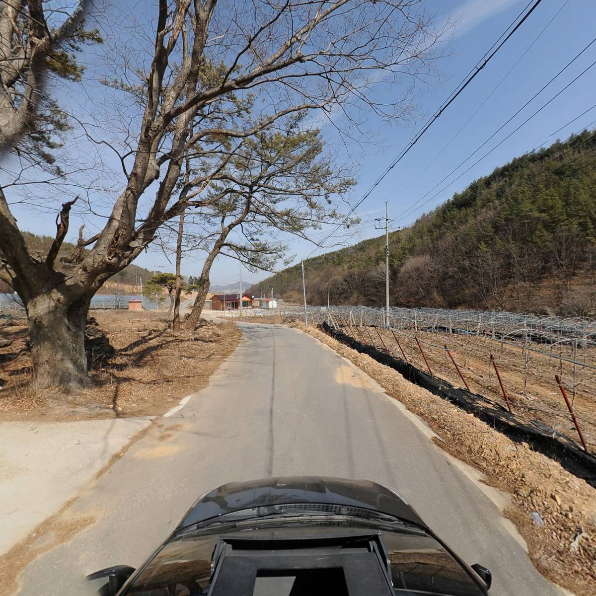 상주 하늘빛 농원_4