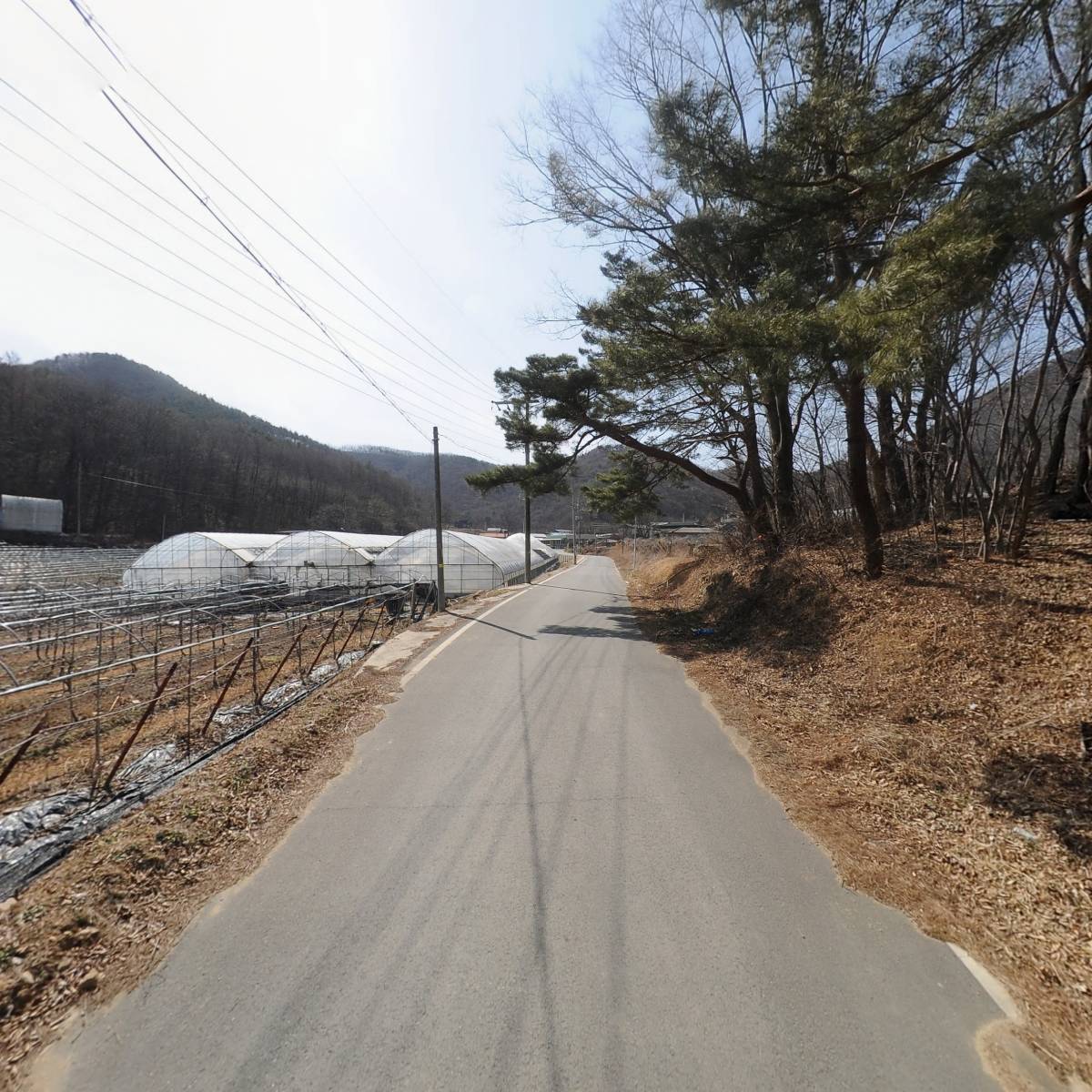 상주 하늘빛 농원_2