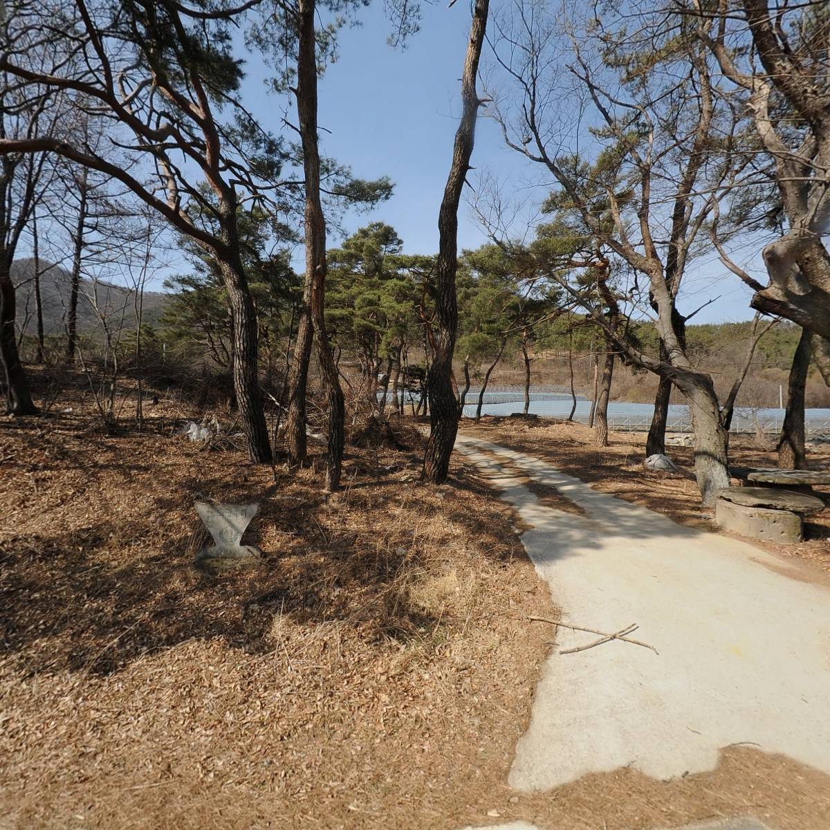 상주 하늘빛 농원_3