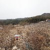 (주)대창자연석