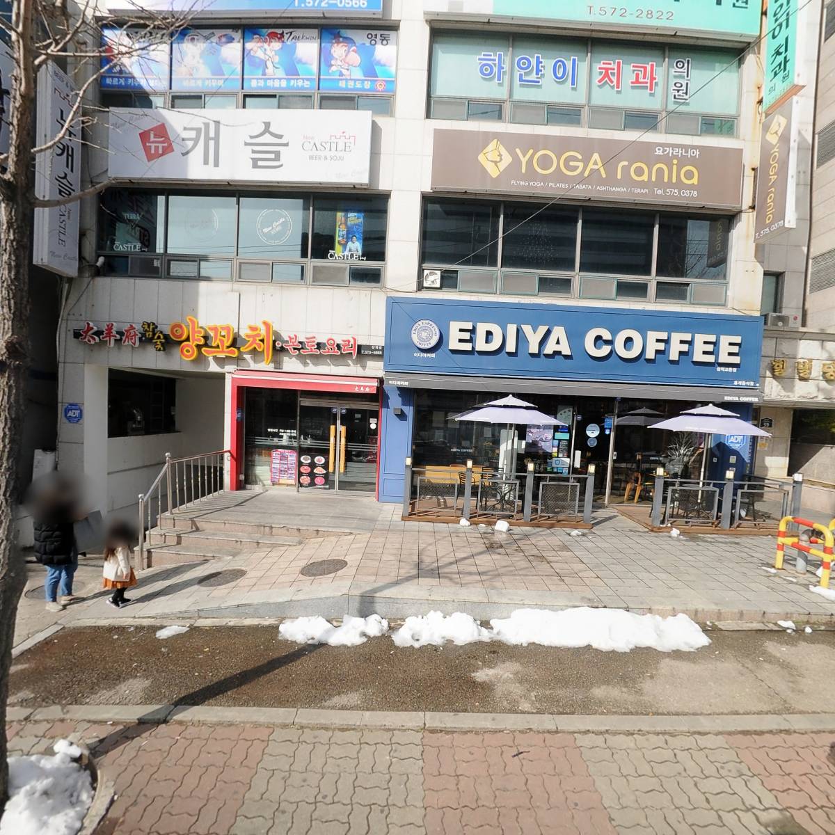 뉴캐슬