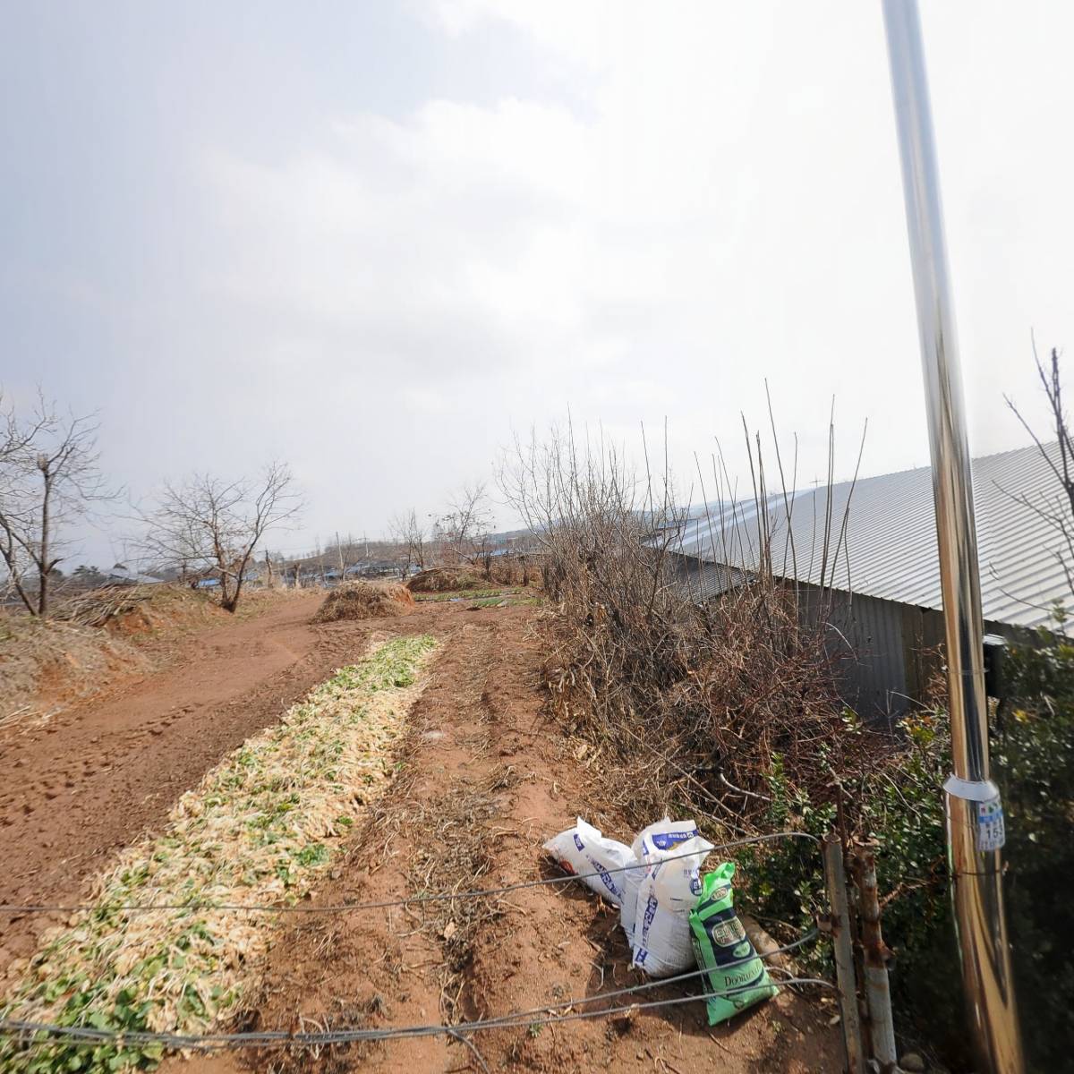 삼백한우영농조합법인_3