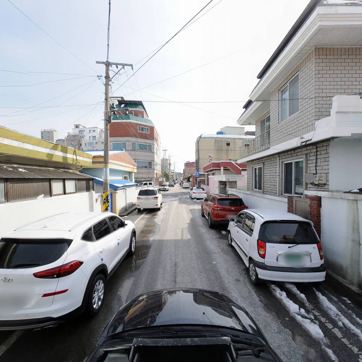 한국불교미타종청룡사_4