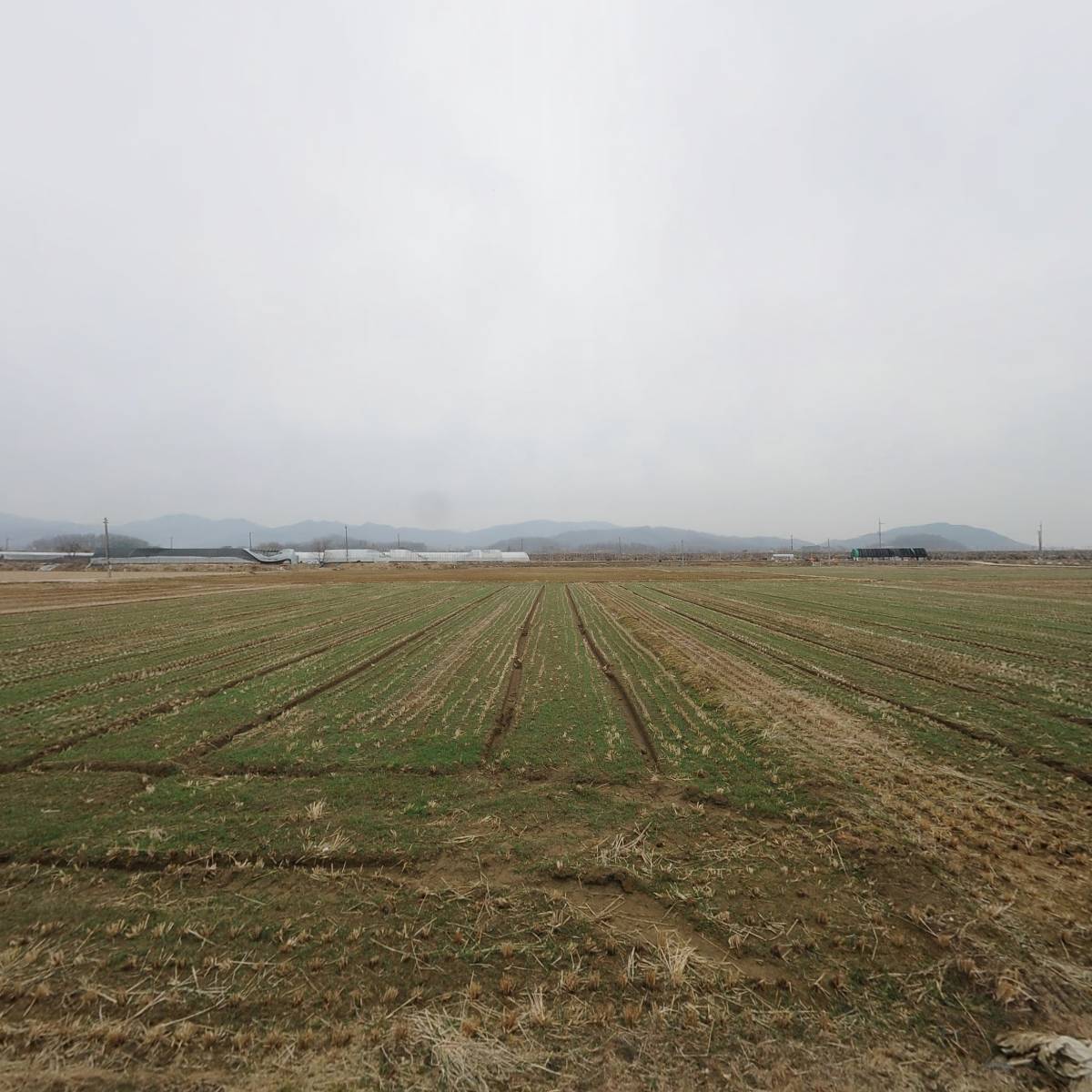 농업회사법인 굿파머스그룹(주)_3