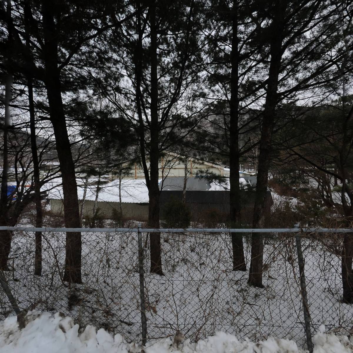 (주)씨존플러스