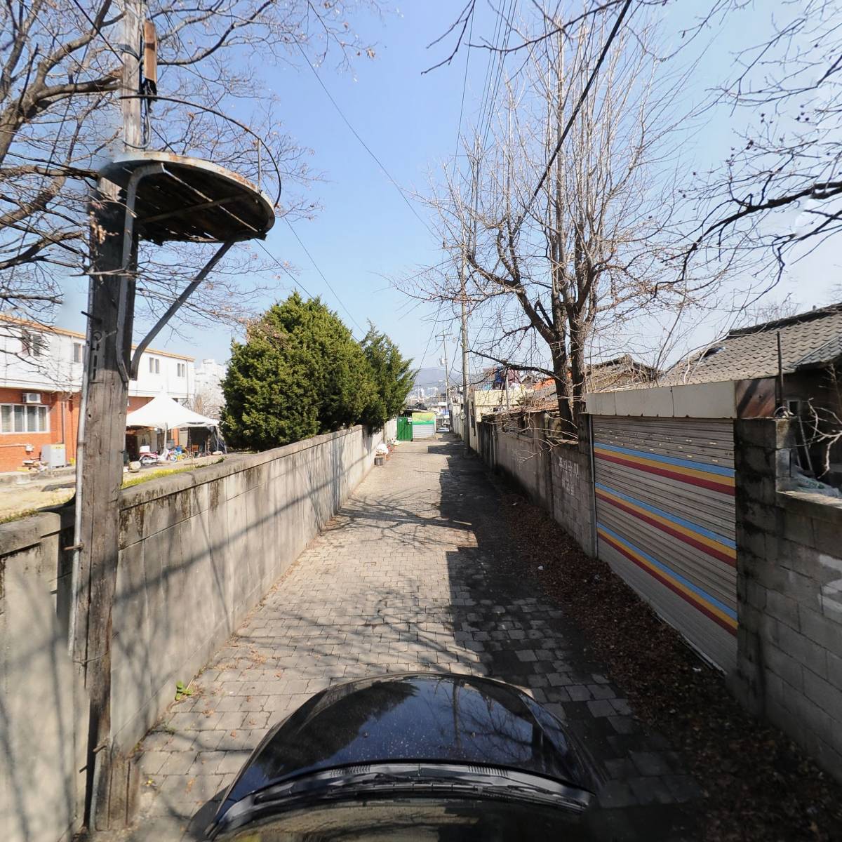 림춘_4