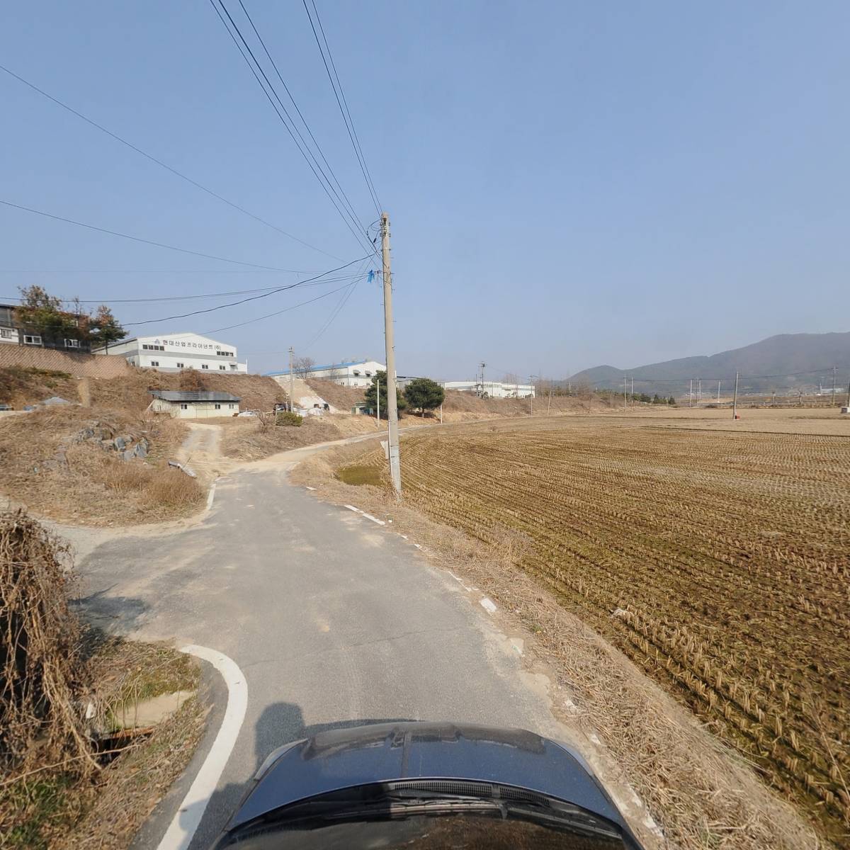 대한민국 국견협회(여주진돗개연구소)_4