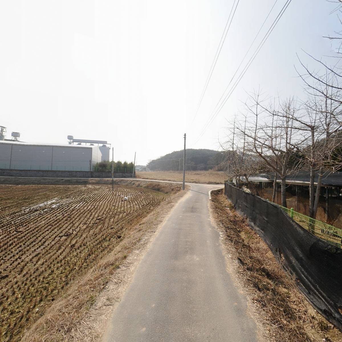 대한민국 국견협회(여주진돗개연구소)_2