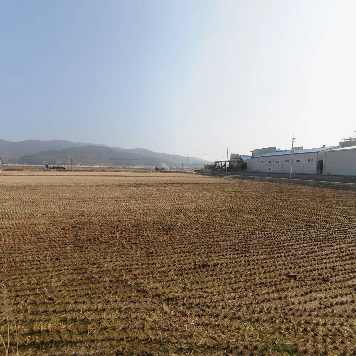 대한민국 국견협회(여주진돗개연구소)