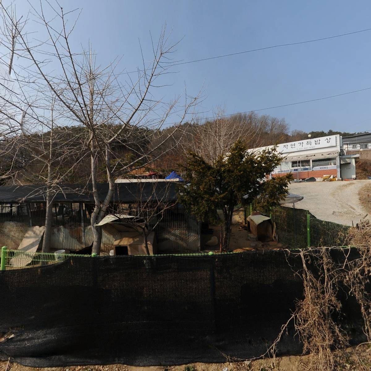 대한민국 국견협회(여주진돗개연구소)_3