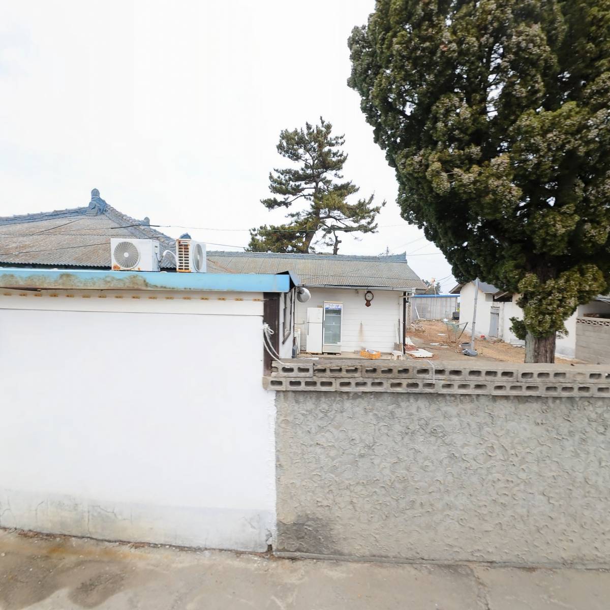 삼척바다정원_3