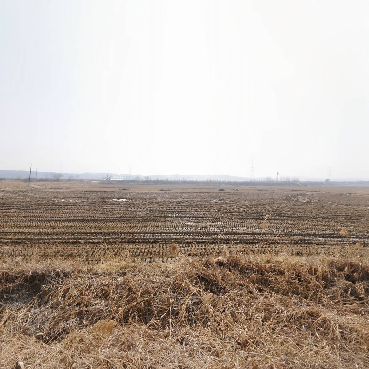 명인푸드_3