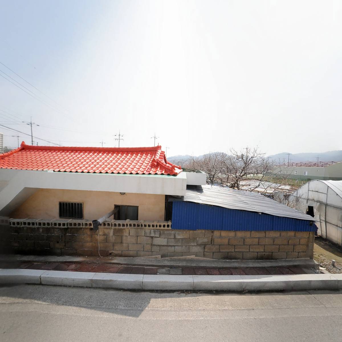 삼화초등학교31기동창회