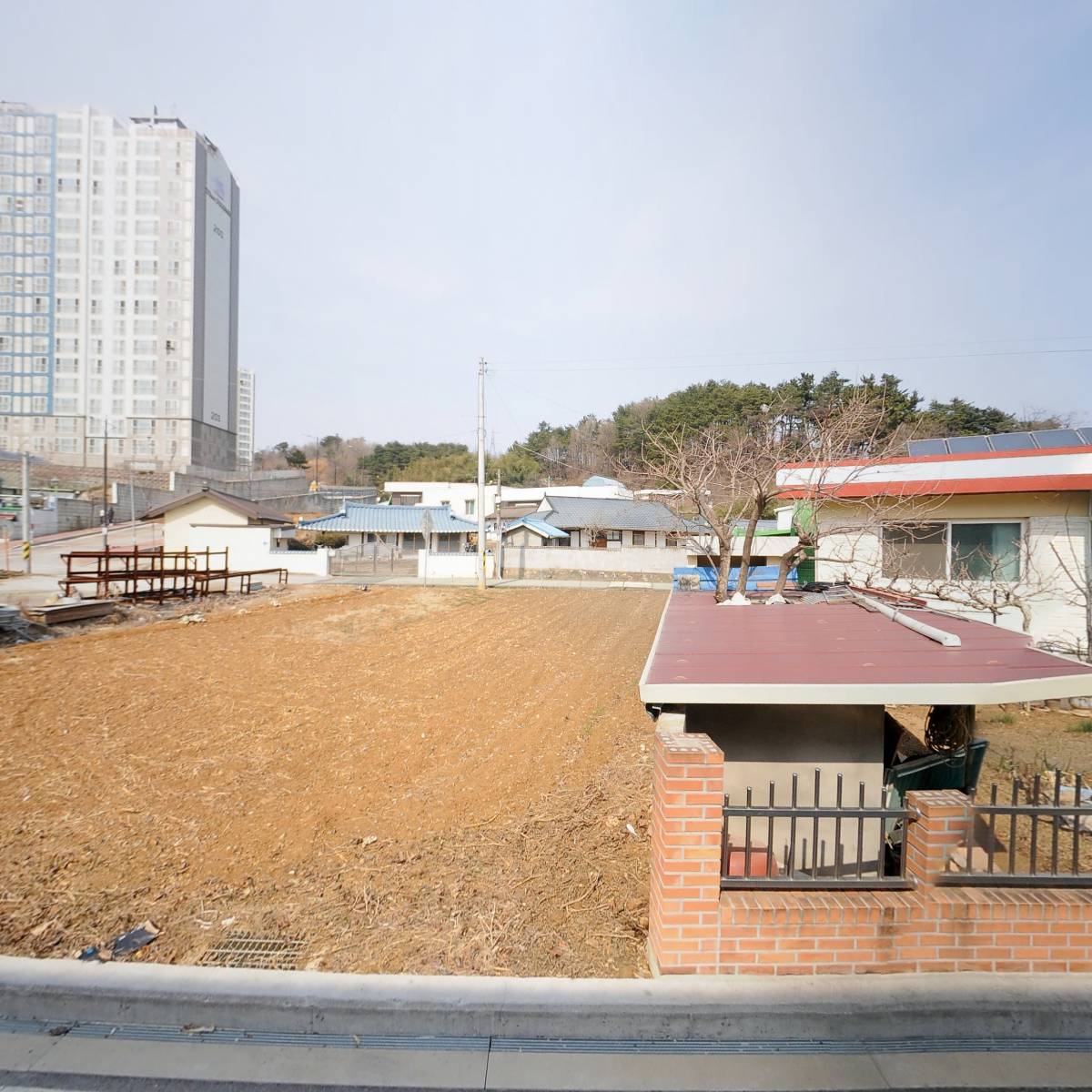 네일은 미래